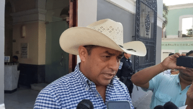 Tabasco intensifica combate contra el gusano barrenador con liberación de mosca estéril y laboratorio regional
