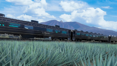 Tequila Express_ viaje por los campos del agave rumbo al corazón de Jalisco