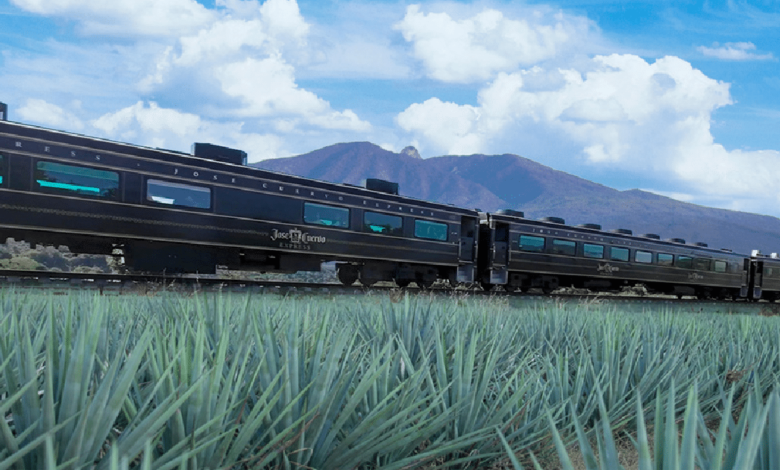 Tequila Express_ viaje por los campos del agave rumbo al corazón de Jalisco