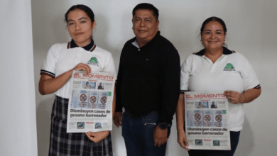 La iniciativa, que ha involucrado a estudiantes, padres y maestros durante ocho años, destaca el liderazgo de la joven Kareli Naranjo de la Cruz en la promoción de prácticas sostenibles y el rescate del interés por el campo.