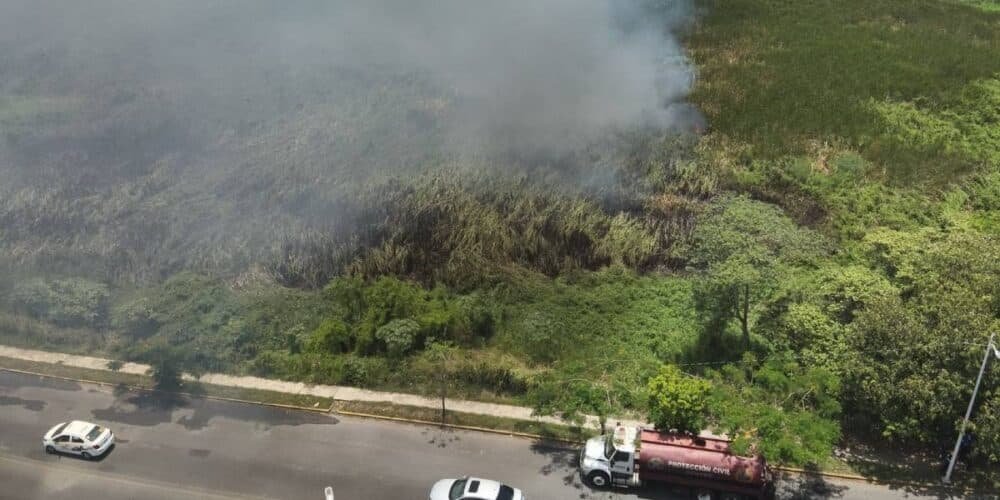 Alerta en la Laguna El Negro, combaten incendio de gran magnitud