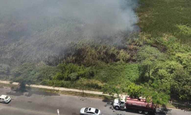 Alerta en la Laguna El Negro, combaten incendio de gran magnitud