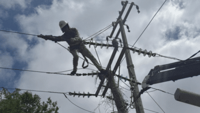 CFE entregará diagnóstico del sistema eléctrico en Tabasco y arrancará plan de mantenimiento
