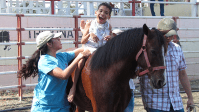 Caballos entrenados pilar esencial en la equinoterapia infantil