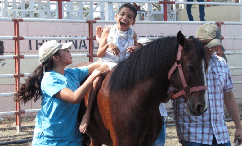 Caballos entrenados pilar esencial en la equinoterapia infantil