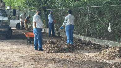 Celebran “Día del Árbol” con jornada de limpieza en ciudad Industrial
