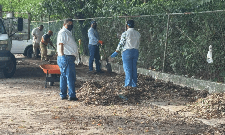 Celebran “Día del Árbol” con jornada de limpieza en ciudad Industrial