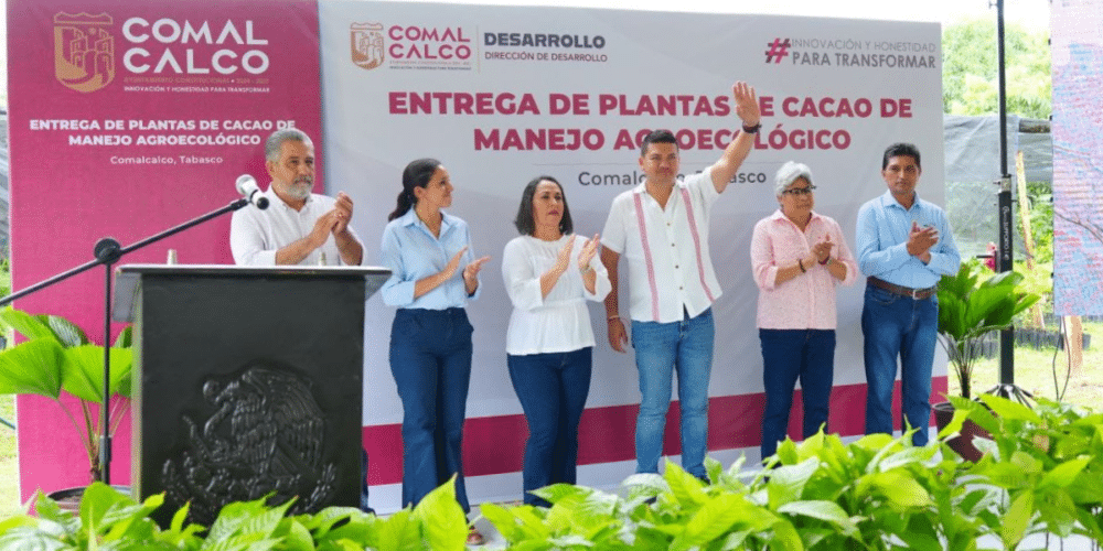 Comalcalco Impulsa la Soberanía Alimentaria con Cacao Orgánico