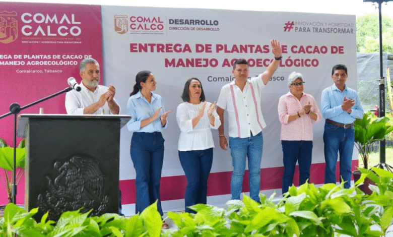 Comalcalco Impulsa la Soberanía Alimentaria con Cacao Orgánico