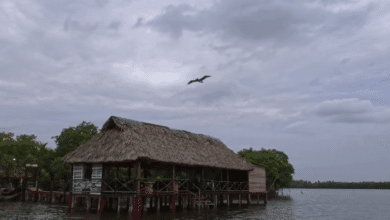 Comalcalco invita a vivir la experiencia del Festival del Marisco “Raíces del Corinto”