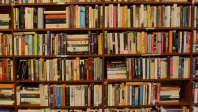 Exploramos cinco obras en español que generaron gran conversación entre lectores en los últimos años por su impacto literario, relevancia cultural y resonancia en redes y clubes de lectura: Pedro Páramo, Rayuela, 2666, El viento que arrasa y El hombre que amaba a los perros.