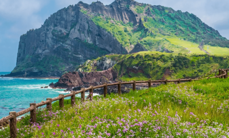 La isla volcánica de Jeju, también conocida como Yeyu, combina paisajes únicos, senderos costeros y la emblemática cultura de las haenyeo, las buceadoras ancestrales que sostienen un legado milenario.