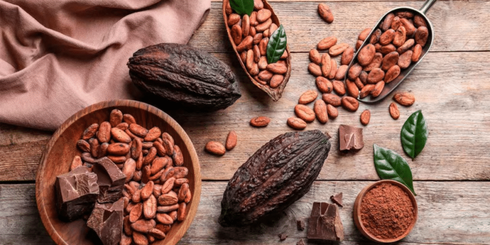 El Cacao Grijalva en Tabasco