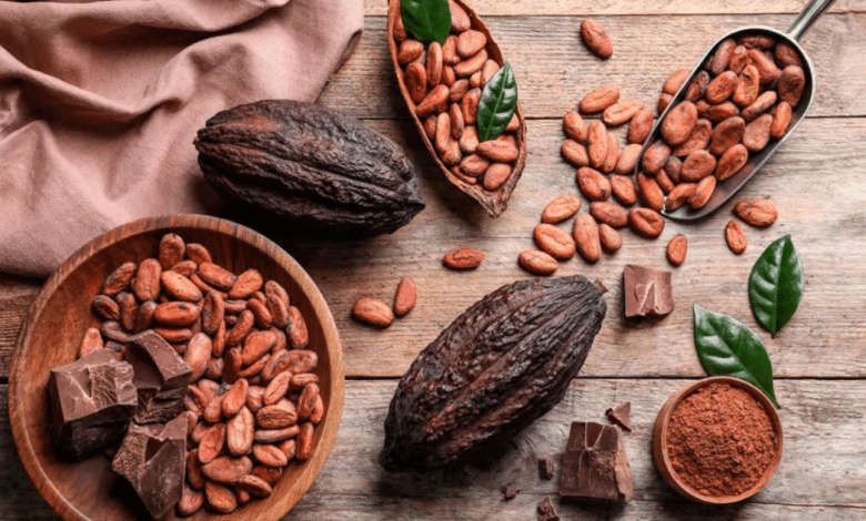 El Cacao Grijalva en Tabasco