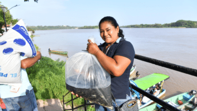 Con este programa se busca alcanzar la autosuficiencia alimentaria y que haya producción para la venta y manutención de los productores pecuarios