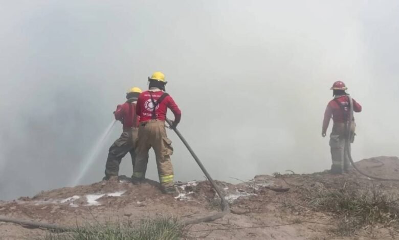 Incendios devastan vida silvestre en peligro