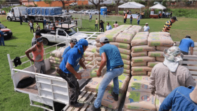Ingenieros Civiles de Tabasco Buscan Revitalizar el Sector Tras el Boom de Obras Federales