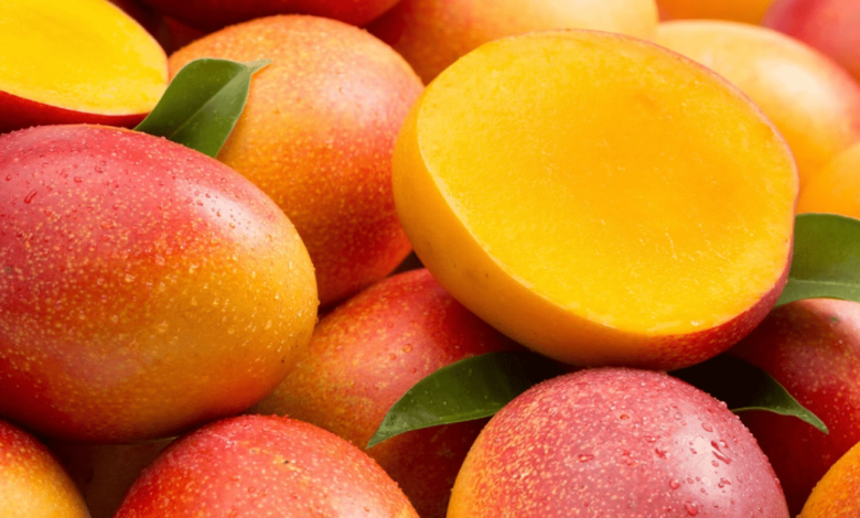 Julio es de mango recetas, sabores y cultura en torno al fruto estrella del verano mexicano