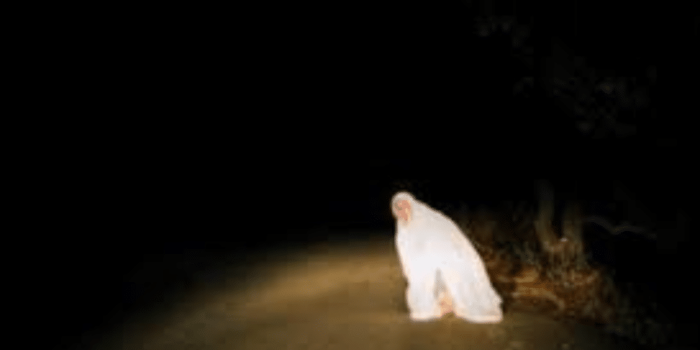 La bruja de Cunduacán la leyenda oscura que aún sobrevuela las noches de Tabasco