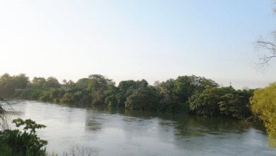 Lluvias fuertes y calor extremo este martes Tabasco enfrentará chubascos intensos y altas temperaturas
