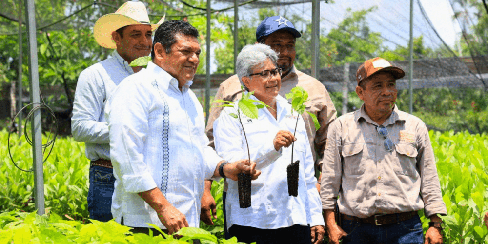 Necesario rescate del campo local