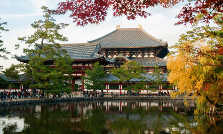 Parque de Nara donde historia, naturaleza y ciervos conviven en armonía