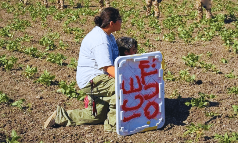 Redadas en California dejan 100 migrantes detenidos