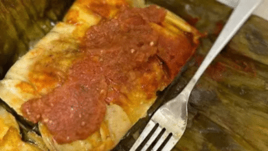 Tamales tabasqueños tradición y sabor en cada hoja de plátano