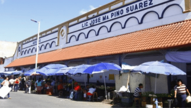 Ventas de artesanías en el mercado Pino Suárez caen a solo el 10% durante inicio de temporada vacacional