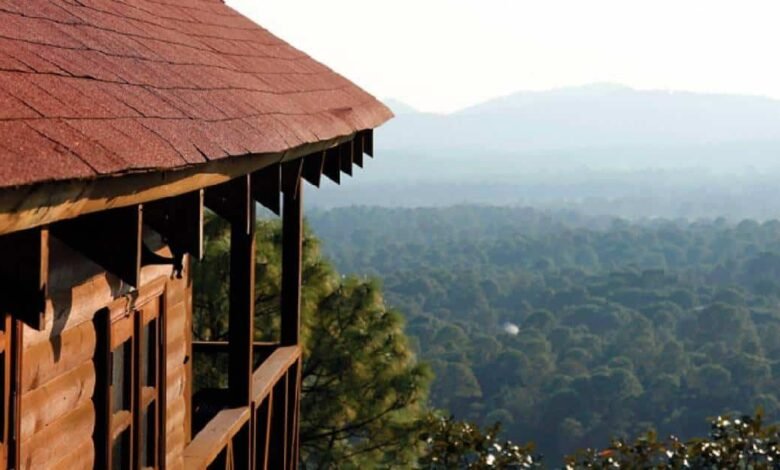 Conoce los Alpes Suizos de México, aquí te decimos cómo llegar (Foto de internet)