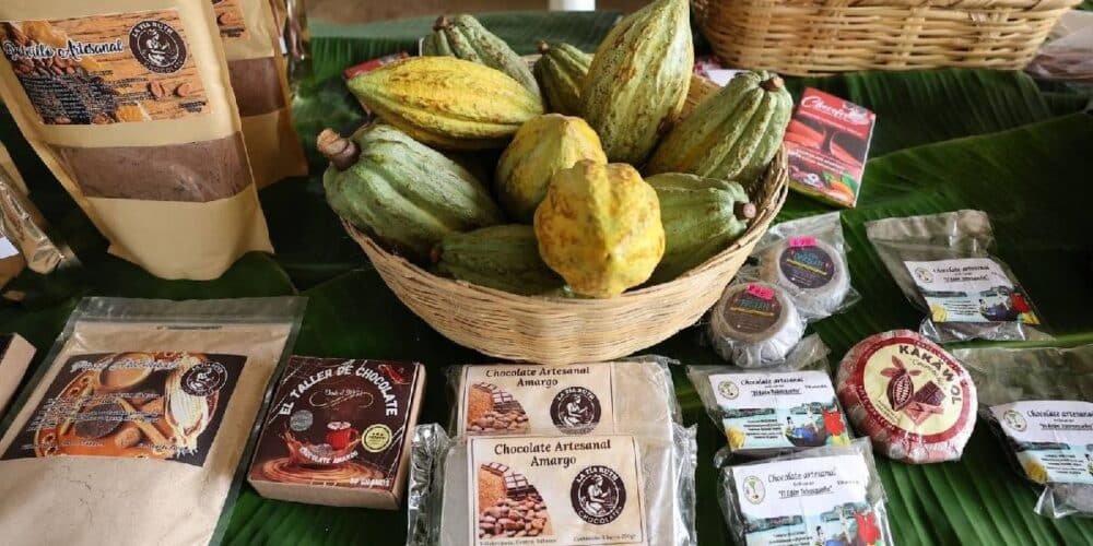 La calidad del cacao tabasqueño es de las mejores del país.