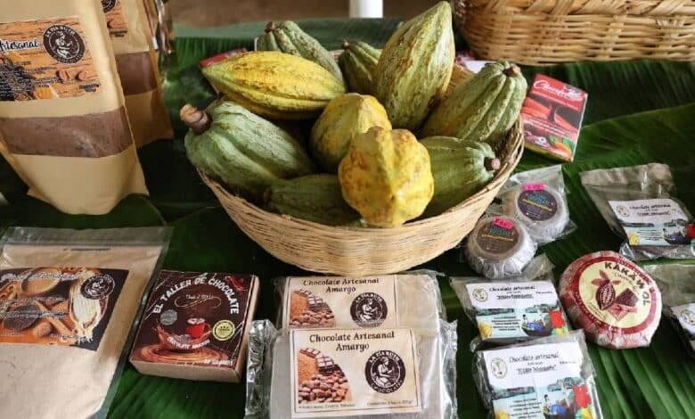 La calidad del cacao tabasqueño es de las mejores del país.