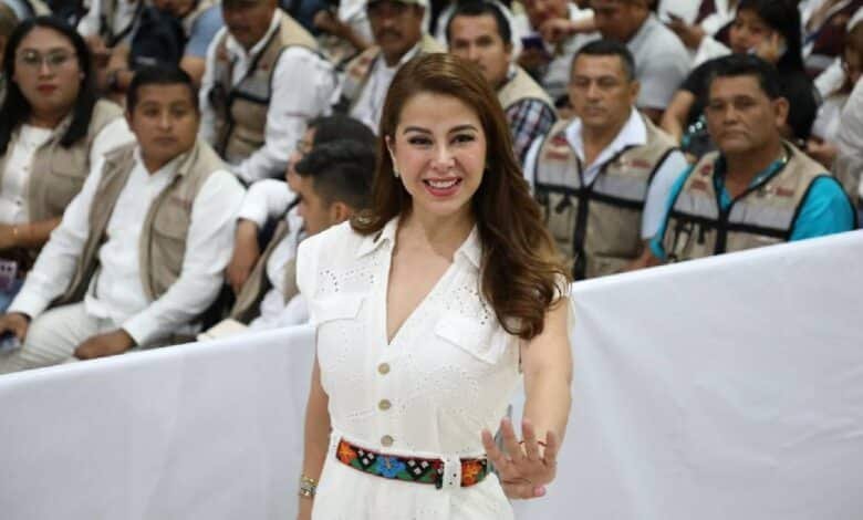 Diputada Milland acusa a la oposición de tergiversar hechos