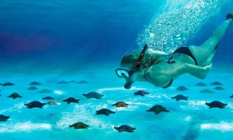 La playa de Cozumel donde puedes nadar con estrellas de mar (Foto de internet)