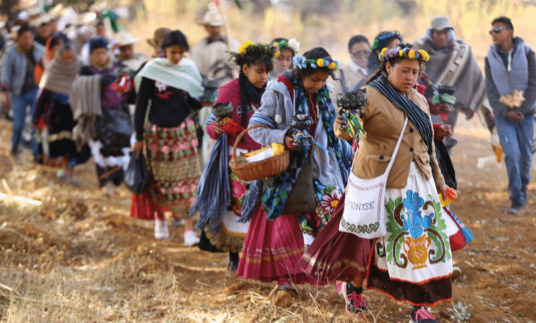 Se estima necesario exhortar al máximo tribunal del país a sentar un precedente fundamental para garantizar el bienestar de los pueblos y comunidades indígenas de México