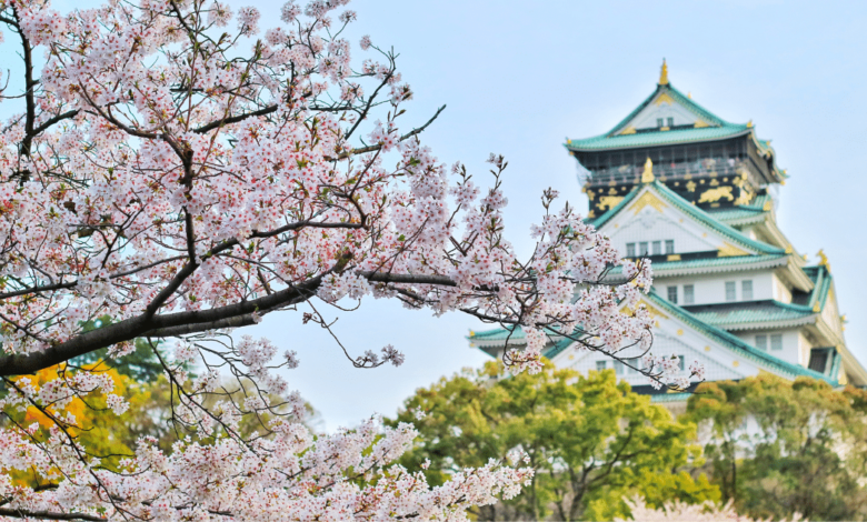 ¿Ya conoces Tokio, Kioto y Osaka? Es momento de descubrir el Japón menos explorado: pueblos escondidos, islas remotas y paisajes únicos que revelan la esencia auténtica del país. Aquí te compartimos una ruta turística alternativa para viajeros curiosos que buscan tranquilidad, cultura y belleza natural.