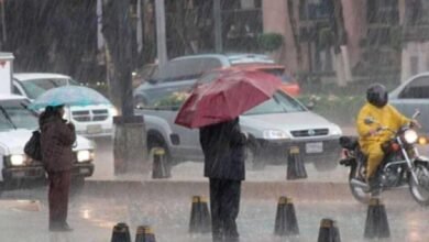 Tormenta tropical Flossie se debilita, se esperan lluvias fuertes en Jalisco y Nayarit (Foto de internet)
