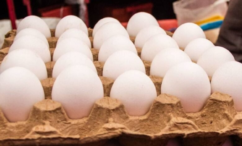 Sube un 20% el precio del huevo en Hopelchén