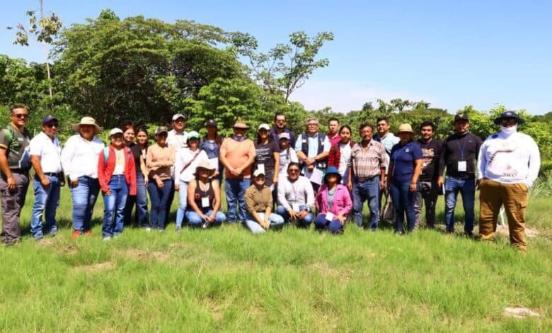 ¡Al Rescate del Manatí! Centro Capacita a Expertos para Salvar al Gigante del Usumacinta