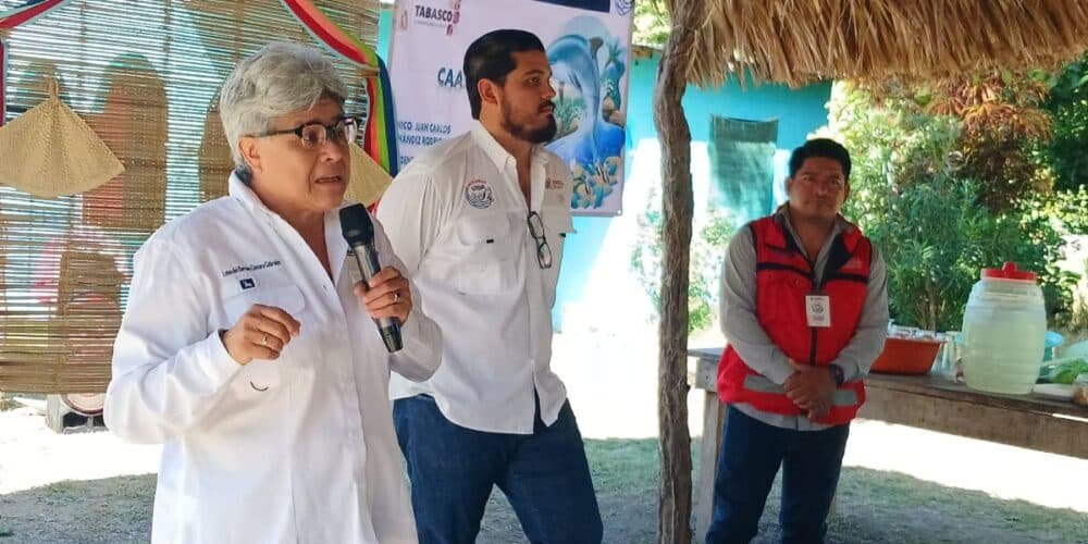 ¡De la siembra a la mesa!