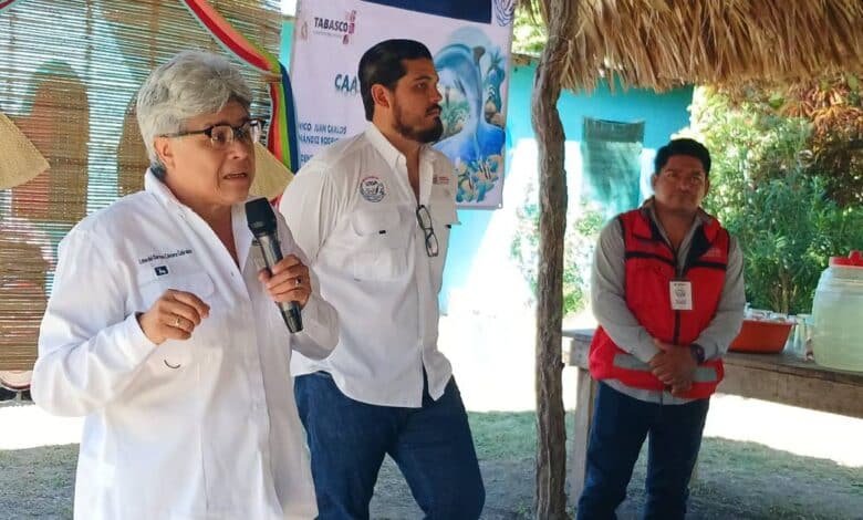 ¡De la siembra a la mesa!