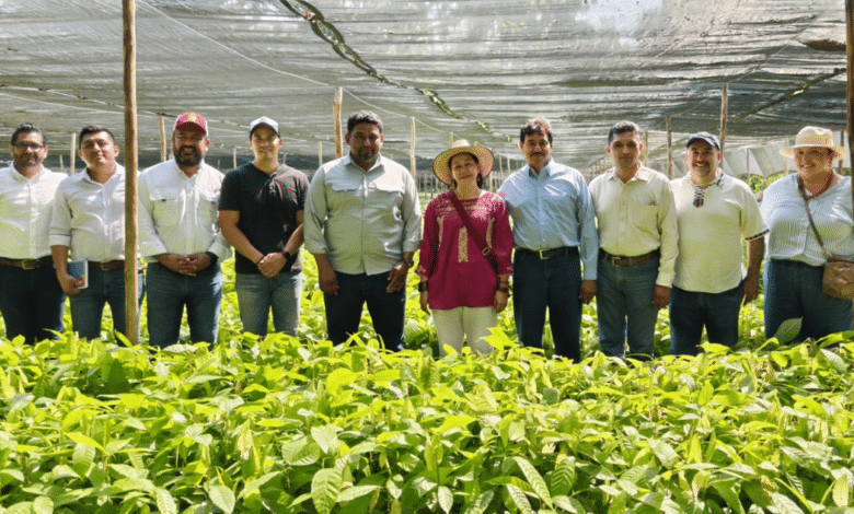 ¡Tabasco, Corazón del Chocolate Mundial!