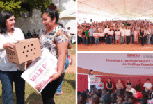 Alcaldesa de Centro entrega 870 paquetes de pollitas ponedoras a mujeres del municipio