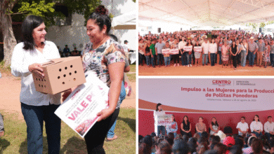 Alcaldesa de Centro entrega 870 paquetes de pollitas ponedoras a mujeres del municipio