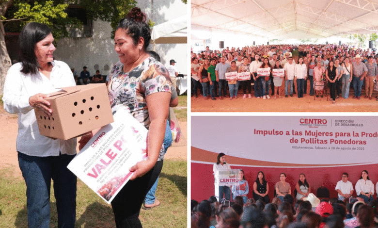 Alcaldesa de Centro entrega 870 paquetes de pollitas ponedoras a mujeres del municipio