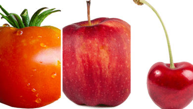 Alimentos rojos beneficios, propiedades y cómo ayudan a tu cuerpo