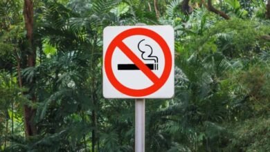 Aprueban diputados reformas para no fumar en Áreas Naturales Protegidas