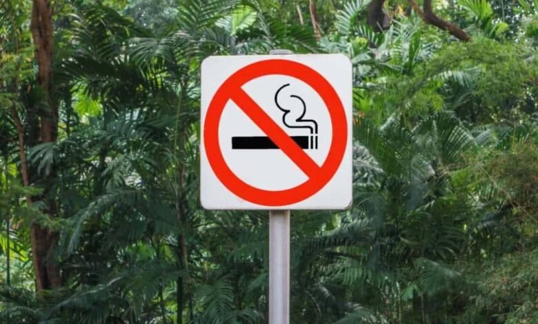 Aprueban diputados reformas para no fumar en Áreas Naturales Protegidas