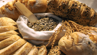 dieta baja en carbohidratos,cáncer colorrectal,microbioma intestinal,E. coli,colibactina,estudio en ratones,fibra intestinal,salud digestiva,Nature Microbiology.,El momento,Al momento,El momento nacional,Al momento nacional,El momento hoy,hoy el momento,al momento hoy,hoy en el momento,al momento local,local en el momento,local en le momento,En el momento,En al momento,En al momento hoy,hoy en el momento local,local hoy,hoy local,local al momento al momento,Dietas sin carbohidratos podrían aumentar el riesgo de cáncer colorrectal,revela estudio,hoy al momento,hoy el momento hoy,hoy en local el momento