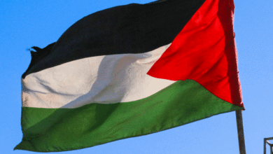 El movimiento islamista aprobó un plan que contempla una tregua de 60 días, liberación de rehenes e intercambio de prisioneros, mientras Israel mantiene reservas y continúa con planes militares en Gaza.